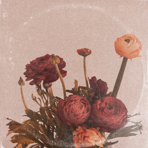 别搞我我还是处
