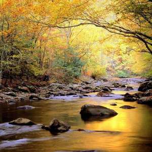 别搞我我还是处
